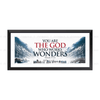 You Are the God Who Works Wonders - Psalm 77:14