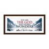 You Are the God Who Works Wonders - Psalm 77:14